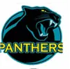 Panthers logo
